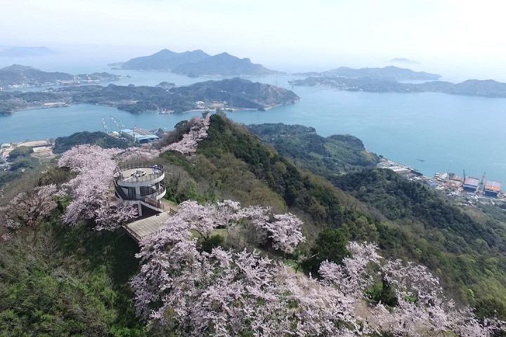 圖：愛媛縣國際交流課╱提供