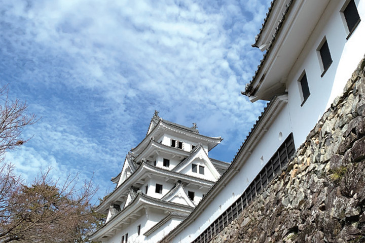 ▲推薦可登上郡上八幡城天守閣眺望城下町美景。　圖：向日遊╱提供