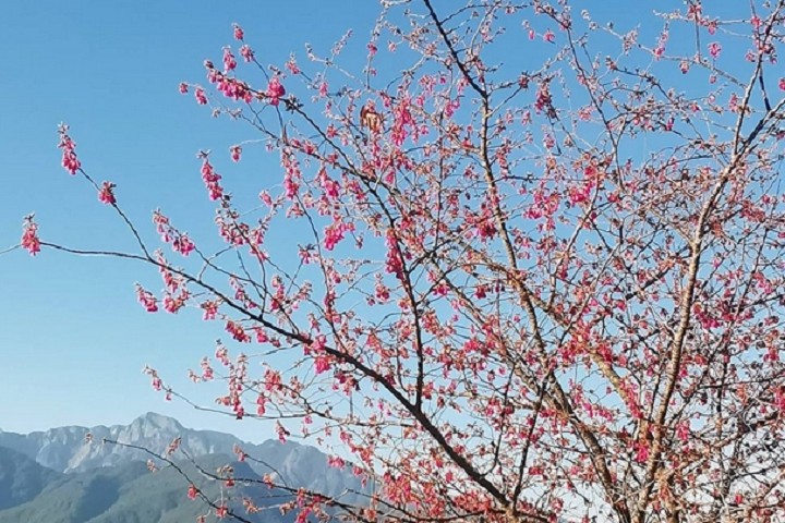 圖：參山國家風景區管理處/提供