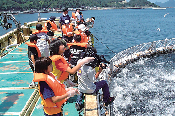 ▲參觀黑鮪魚養殖基地。　圖：長崎縣對馬市／提供