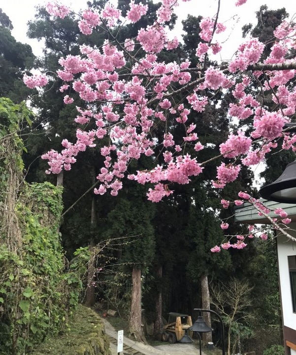 圖：旅奇週刊╱來源