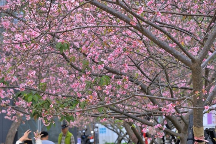 圖：旅奇週刊╱來源