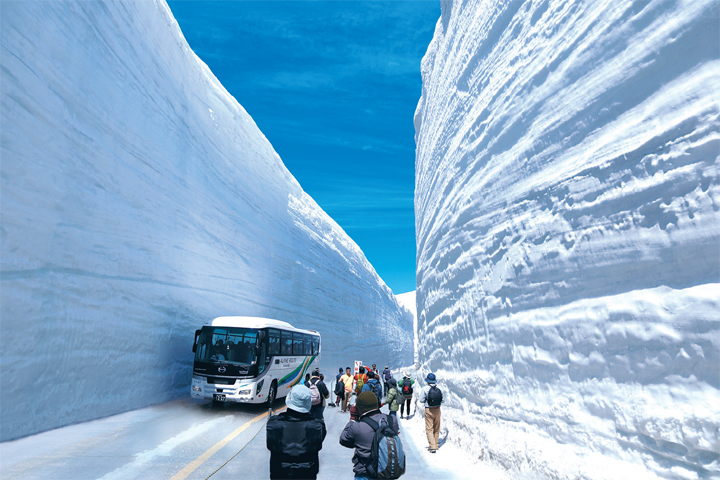 再過1個月「立山黑部」即將開山，今年的雪壁高度也令人期待。　圖：向日遊／提供