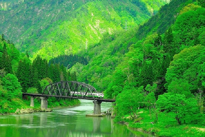 ▲福島縣翠綠森林與JR只見線融為一體，是攝影愛好者必拍鏡頭。　圖：JR東日本創造旅╱提供