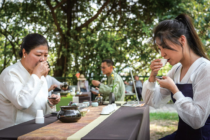 ▲全民喝茶日推廣喝好茶　圖：參山國家風景區管理處╱提供