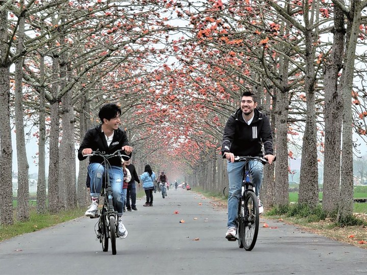 ▲白河木棉花開適合旅客來騎車打卡拍照 圖：西拉雅國家風景區管理處╱提供