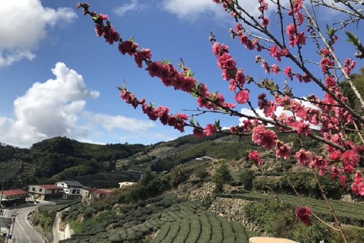 圖：旅奇週刊╱提供