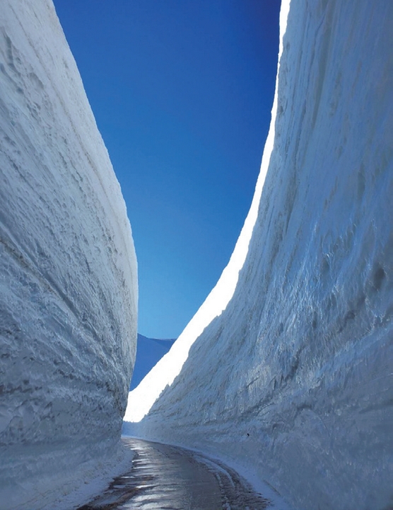 ▲今年也重現「開業初期的雪之大谷」，僅單一車道，從照片就能感受兩側雪壁包夾的震撼魄力。　圖：向日遊╱提供