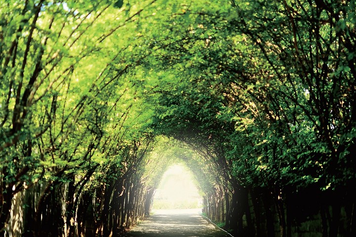▲因為疫情的緣故，讓日月潭觀光圈聯盟有機會練兵，以國旅為出發，放眼國際，為旅客帶來更深度的在地旅遊。　圖：旅奇週刊╱提供