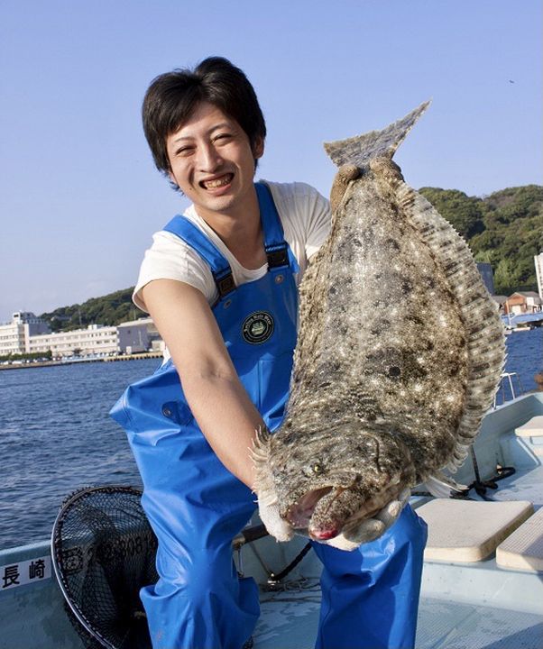 ▲平戶稱體型壯碩的野生比目魚為「坐墊」，可見其肥美程度。　圖：平戶觀光協會／提供