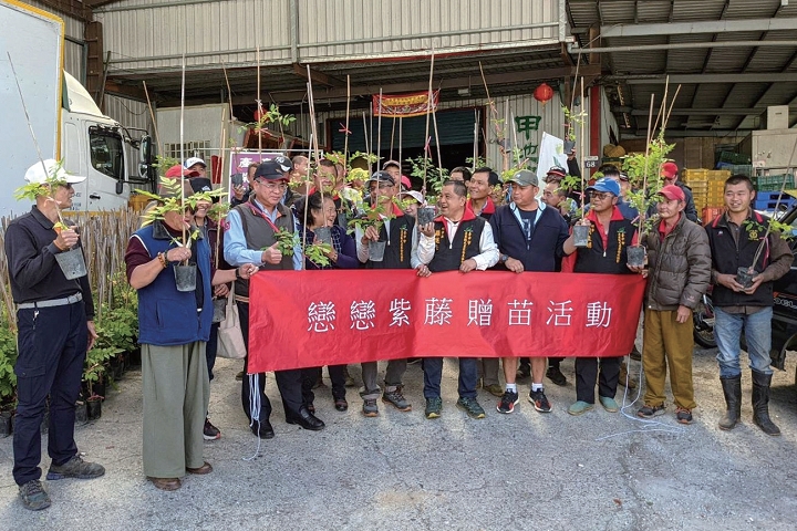 參山處及梨山賓館舉辦戀戀紫藤贈苗活動，打造美麗山城。　圖：參山國家風景區管理處╱提供