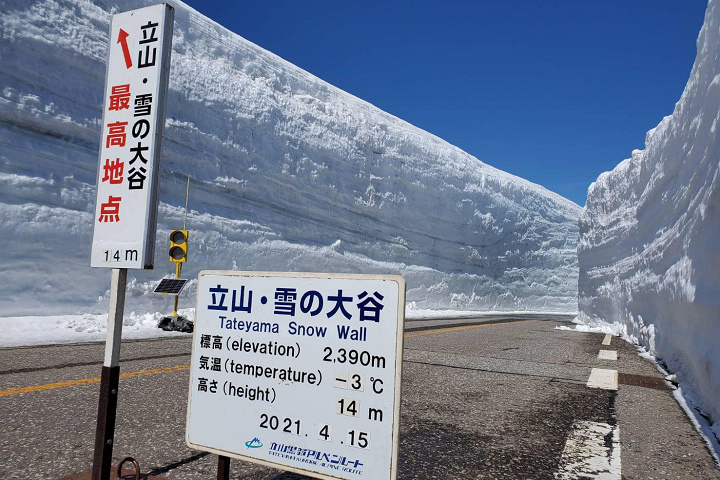 2021年4月15日立山黑部開山，雪壁高達14公尺。 　圖：立山黑部／提供