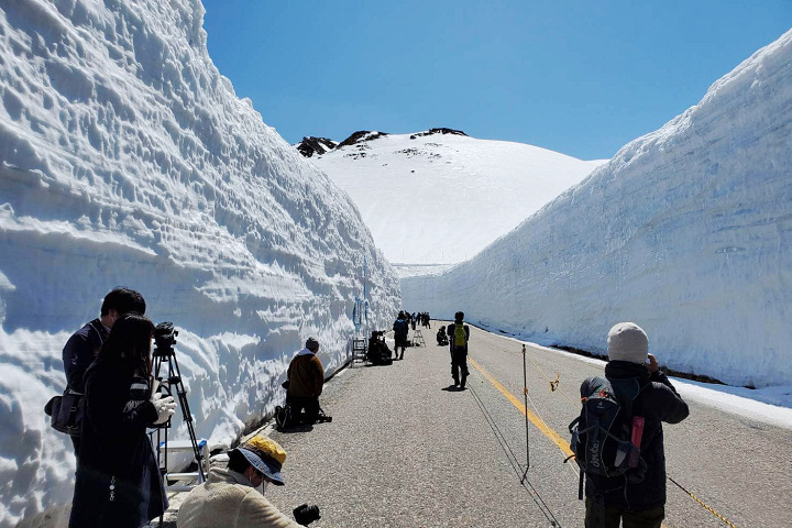 立山黑部上週四開山，今年的雪壁的最高點為14公尺！　圖：向日遊╱提供