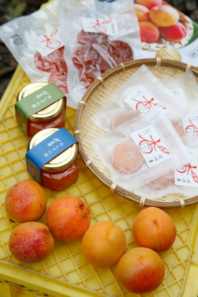 ▲杏桃界的精品「杏寶園」推出杏桃果醬、果乾等點心。　圖：日本旅行情報局／提供