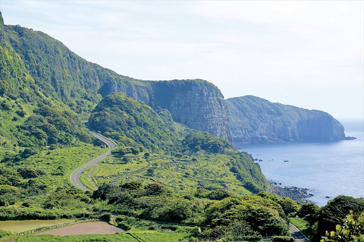 雄偉的斷崖背景與開闊大海，汽車奔馳其中格外有氣勢。　圖：平戶觀光協會/提供