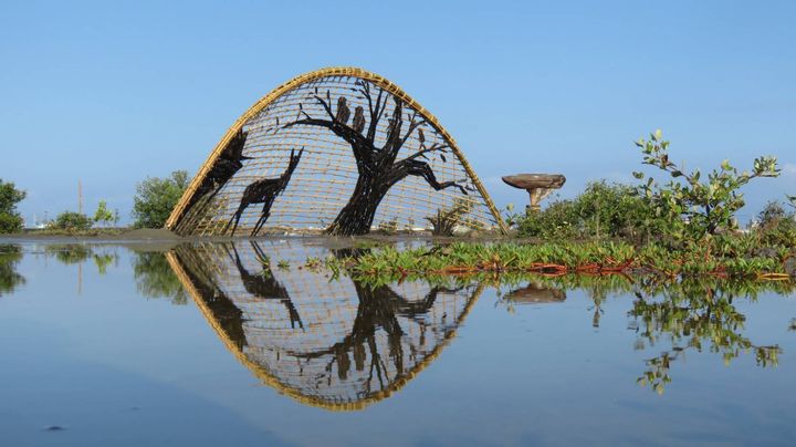 ▲成龍溼地。　圖：雲林縣政府文化觀光處╱提供