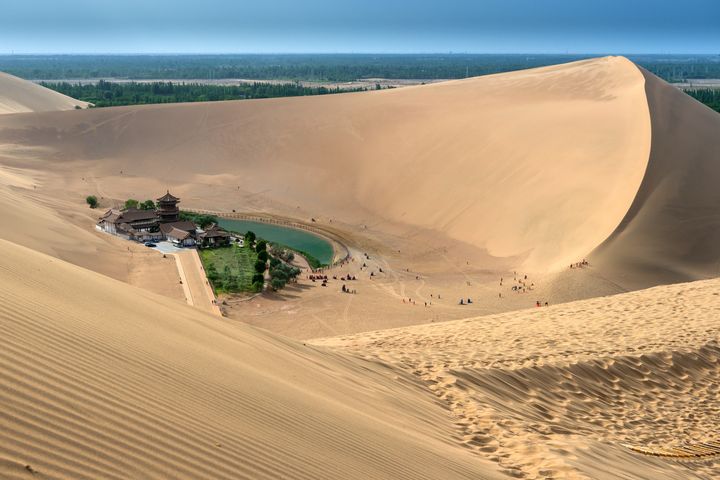 ▲水池與沙漠並存的景色相當罕見。　圖：Shutterstock／來源