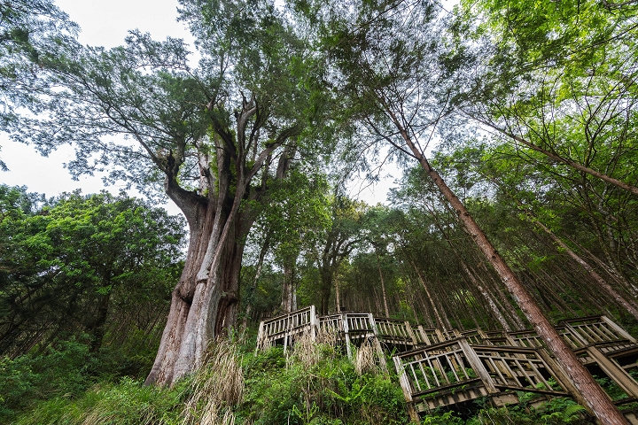 宜蘭小旅行深度探索山林秘境