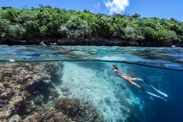 ▲清透的海水可以一覽珊瑚礁斷層美景。　圖：帛琉觀光局Palau Visitors Authority╱提供