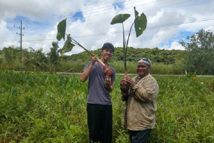 ▲碩大的芋頭豐收令人笑顏常開。　圖：帛琉觀光局Palau Visitors Authority╱提供