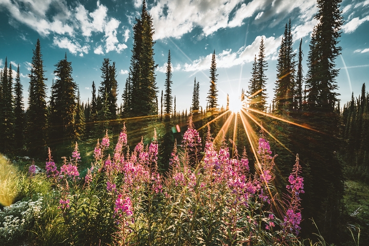 ▲瑞佛史托克山國家公園。　圖：shutterstock╱來源