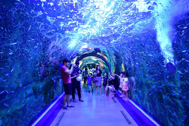 ▲水上星球是韓國第二大水族館。　圖：韓國-麗水市╱提供