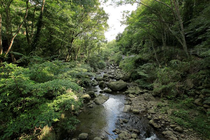 位於苗栗南庄的四十二份坪生態步道，隨季節可賞花、賞螢。　圖：交通部觀光局參山國家風景區管理處╱提供