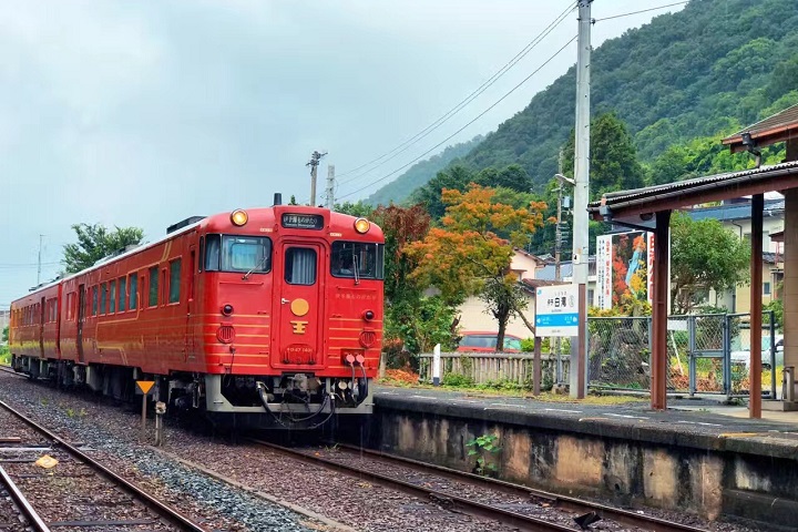 ▲列車由二節車廂組成，外觀呈現伊予灘夕陽色彩。　圖：愛媛縣觀光國際課／提供