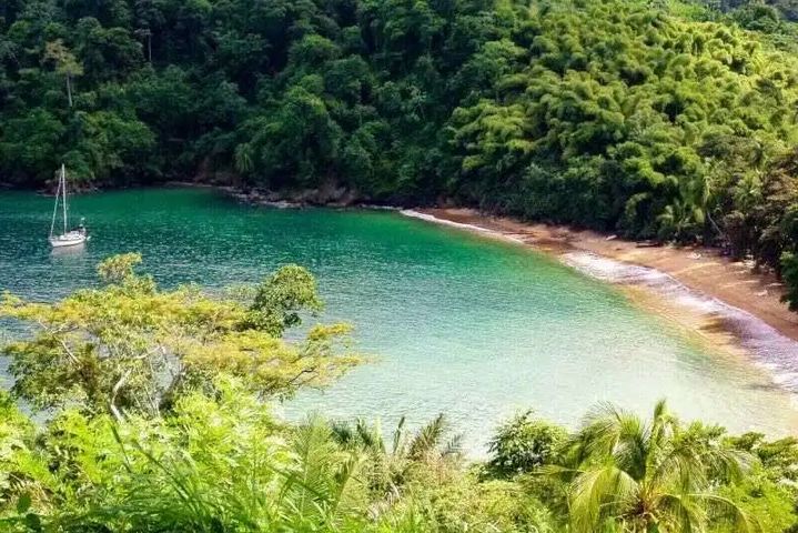 ▲多巴哥島是一個擁有珊瑚礁、雨林和細沙的自然美景。這個島被認為是魯賓遜漂流記的失事家園，被熱帶樹葉環繞的群山擁抱著波光粼粼的大海，仿佛一顆隱藏世間的寶石。　圖：水晶郵輪╱提供