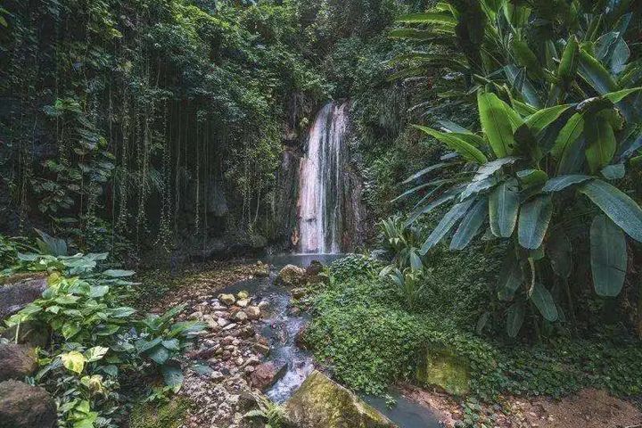 ▲聖露西亞的The Diamond Waterfall位於一個懸掛式花園中，鬱鬱蔥蔥的熱帶綠色植物，如瀑布般地瀉入水池。花園坐落在一座坍塌火山的山口上，瀑布的泉水充滿了礦物質，這些礦物質讓岩壁石色彩斑斕，充滿了夢幻色彩。　圖：水晶郵輪╱提供