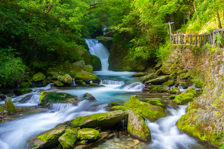 湖北神農架林谷幽深，泉流清澈。　圖：Shutterstock╱來源