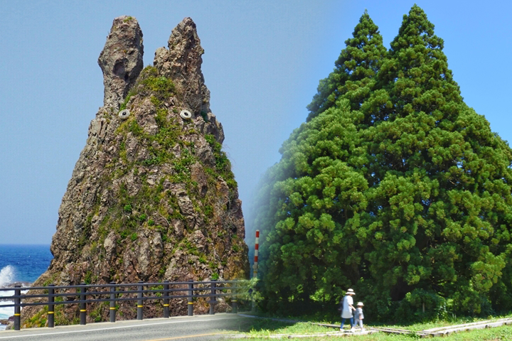 宛如電影《龍貓》再現的自然奇景，就在日本石川縣、山形縣！　圖：寫真AC／來源
