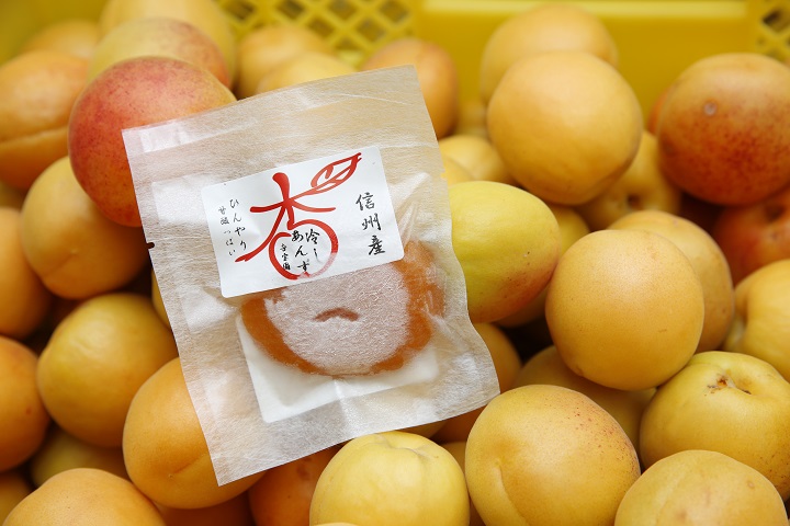 長野縣千曲市的杏桃產量在日本名列前茅，6月底至7月上旬是新鮮杏桃的產季。   圖：日本旅行情報局／提供