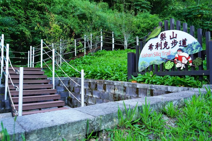 梨山風景區希利克步道7月13日起有條件開放。　圖：交通部觀光局參山國家風景區管理處╱提供 