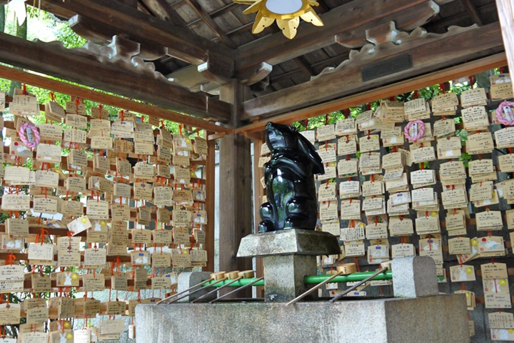 ▲黑兔雕像的手水舍相當吸睛。　圖：京都フリー写真素材集／來源