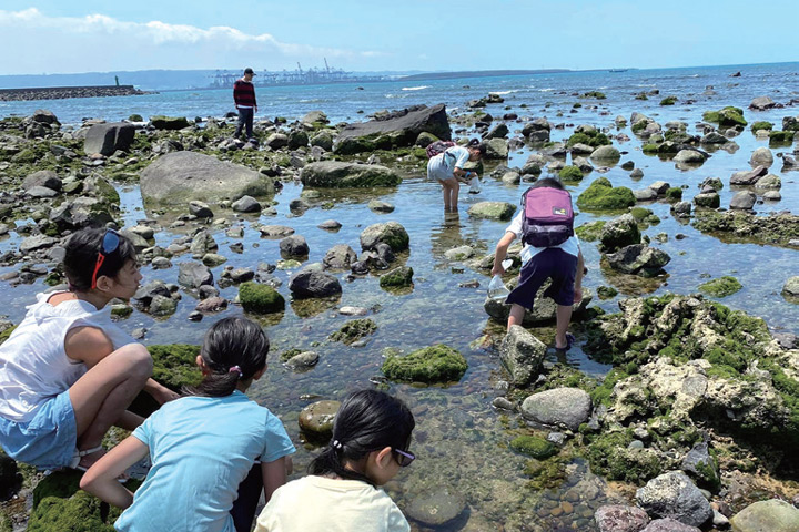 ▲濤聲夏季走讀，品味季節味道。　圖：旅學堂／提供