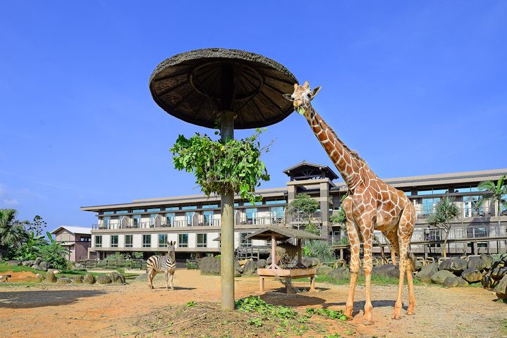 跟動物一起Fun暑假 飯店超值快閃23折