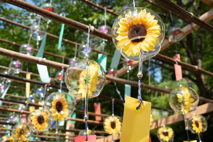 進入盛夏後，正壽院的花風鈴也換上向日葵造型，預計將展示至8月底。　圖：写真AC／來源