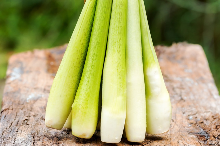 取自埔里的原食材料理，新鮮美味。　圖：shutterstock╱來源