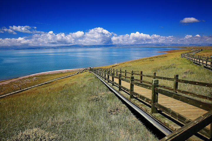 青海湖地勢高，因此氣候十分涼爽。　圖：Shutterstock／來源