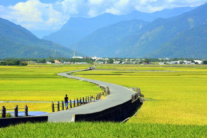 ▲天堂路四季都有不同情調。　圖：臺東縣政府╱提供