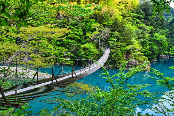 「夢之吊橋」橫跨寸又峽溪谷，周圍景色相當夢幻。　圖：写真AC／來源