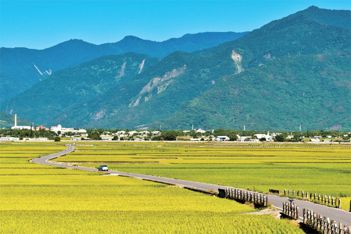 台灣以農立國，而隨著觀光需求的興起，休閒農業逐漸成為旅客的心之所向。　圖：Shutterstock／來源
