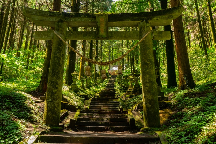 獨特又神秘的氛圍，讓「上色見熊野座神社」的參道就像一條通往異世界入口的秘徑。　圖：写真AC／來源