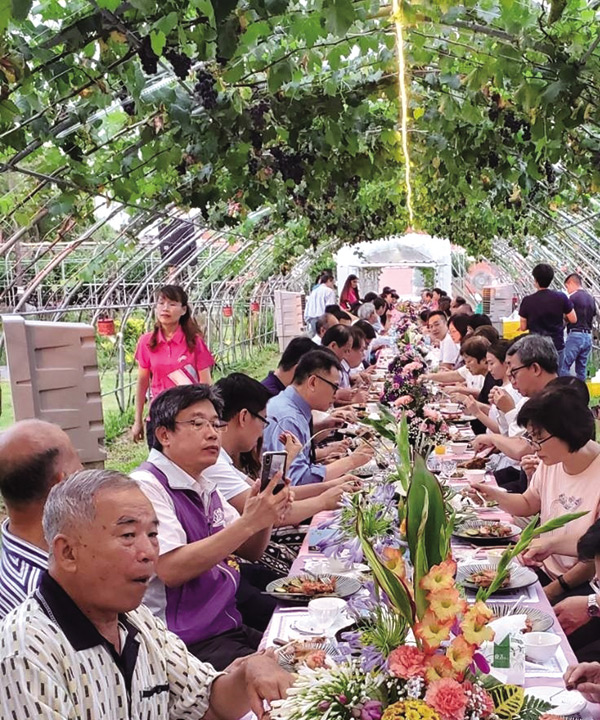 ▲旅客在隧道內葡萄樹藤下享用美食，感受獨特的用餐氛圍。　圖：埔心鄉農會／提供
