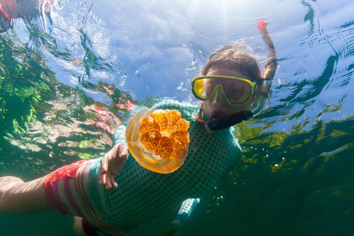 ▲帛琉準備好了，熱烈歡迎台灣旅客前往。　圖：Shutterstock／來源