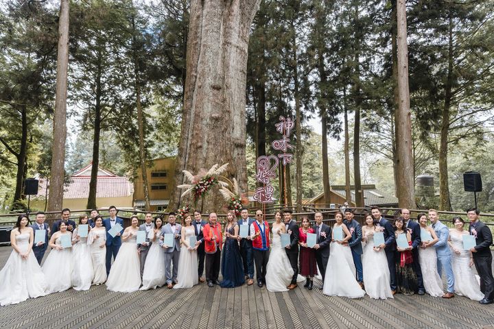 阿里山香林神木下證婚。　圖：交通部觀光局阿里山國家風景區管理處／提供