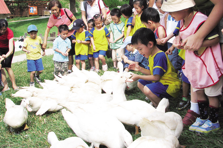 ▲近距離與小動物們互動。　圖：台灣休閒農業發展協會／提供