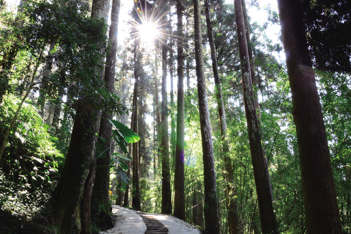 ▲龍雲休閒農場附近就有多處登山步道，成為登山客最愛投宿的地方。　圖：龍雲休閒農場／提供