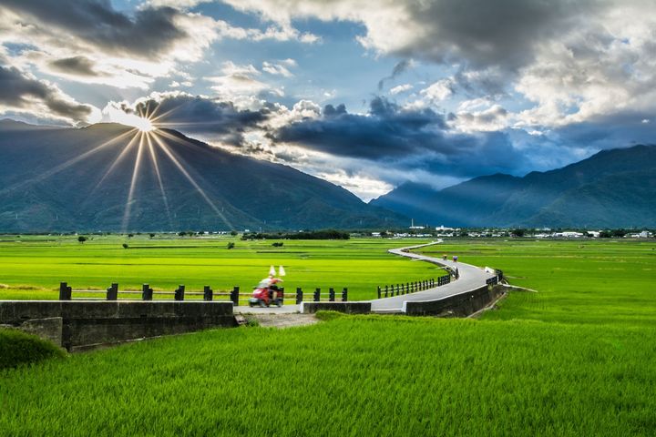 九月秋遊伯朗大道天堂路。　圖：台東池上日暉國際渡假村／提供